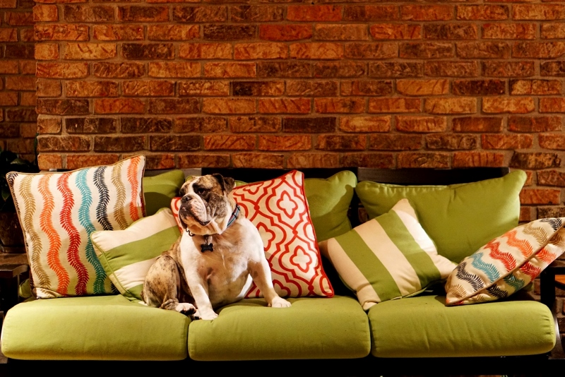 How to arrange pillows on a sofa. Color Families
