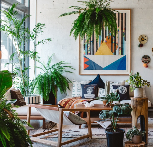 Supreme Accents How to add Cozy to Any Room - Layer texture with Plants