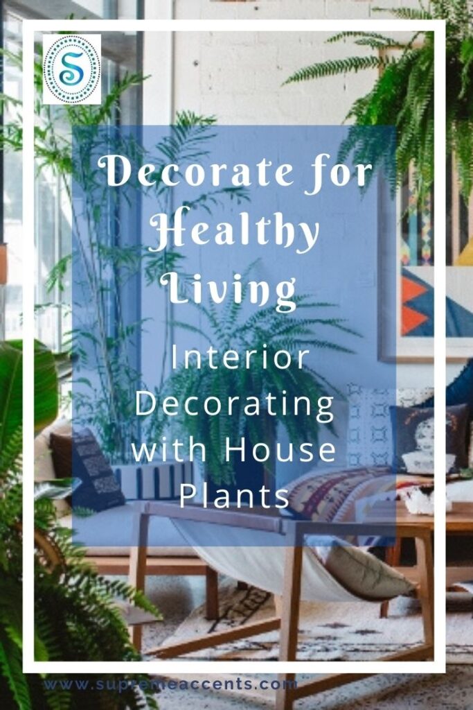 Supreme Accents Decorate for Healthy Living – Interior Decorating with House Plants - Post Cover