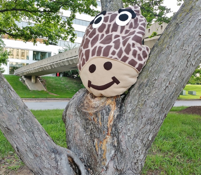 George the Giraffe Pillow - Image 3