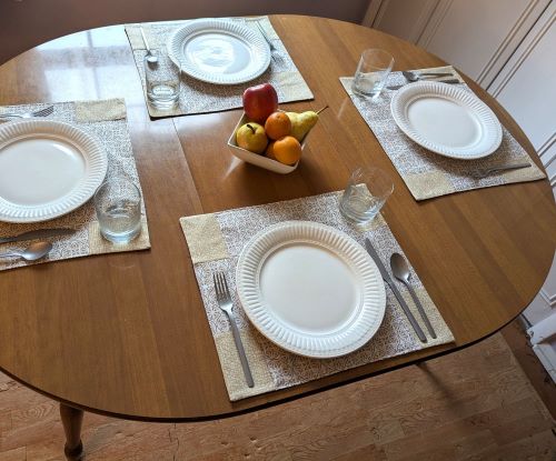 Beige Medallion Dining Table Placemats - Image 3