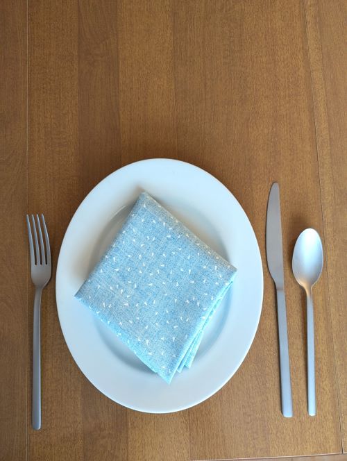 Blue and White Dinner Table Napkins - Image 5