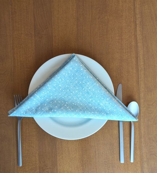 Blue and White Dinner Table Napkins - Image 4
