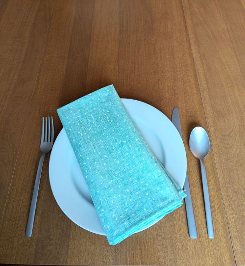 Blue and White Dinner Table Napkins - Image 7