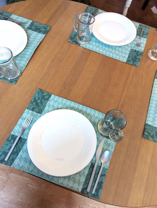 Stone Sage Dining Table Placemats - Image 6