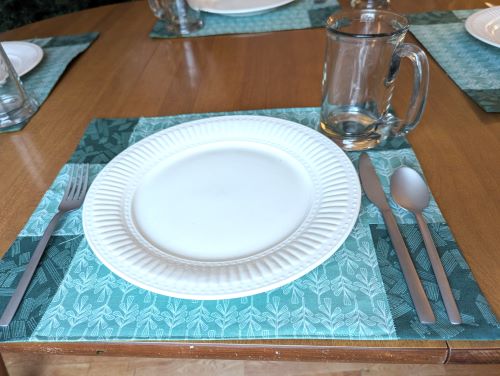 Stone Sage Dining Table Placemats - Image 5