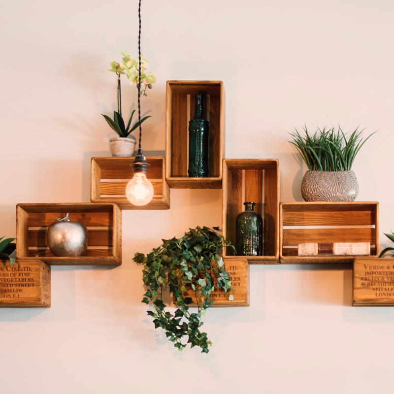 Decorate for Healthy Living – Interior Decorating with House Plants
