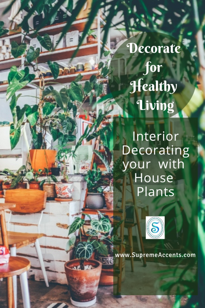 Decorate for Healthy Living – Interior Decorating with House Plants