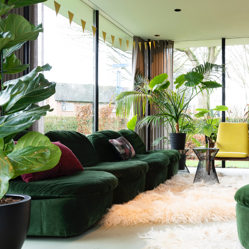 Decorate for Healthy Living – Interior Decorating with House Plants
